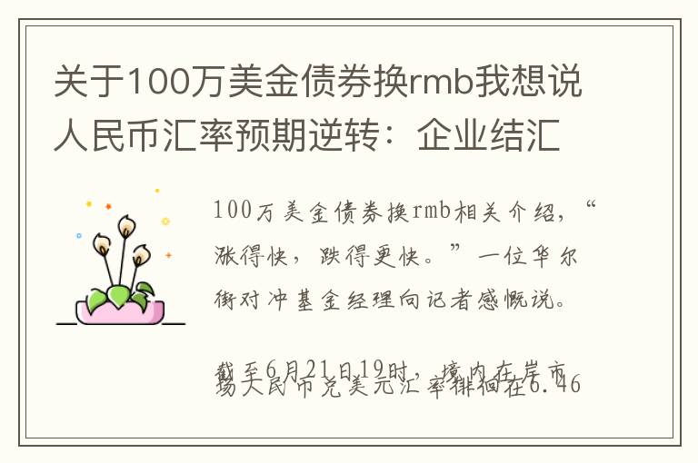 关于100万美金债券换rmb我想说人民币汇率预期逆转：企业结汇意愿大幅回落 海外长期资本逆势加仓债券避险