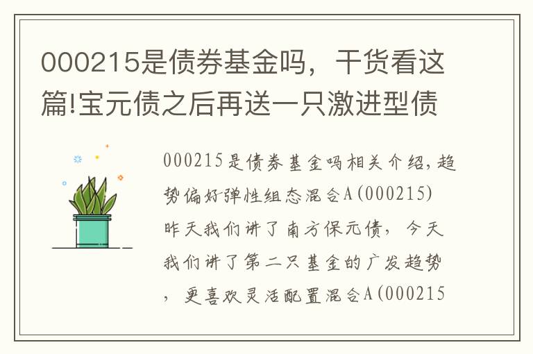 000215是债券基金吗，干货看这篇!宝元债之后再送一只激进型债券