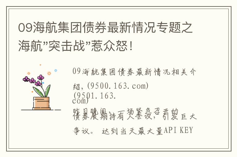 09海航集团债券最新情况专题之海航"突击战"惹众怒！闪电会议"令人窒息"，深夜紧急致歉！兄弟债券盘中暴跌近40%，融资为王时代终结？