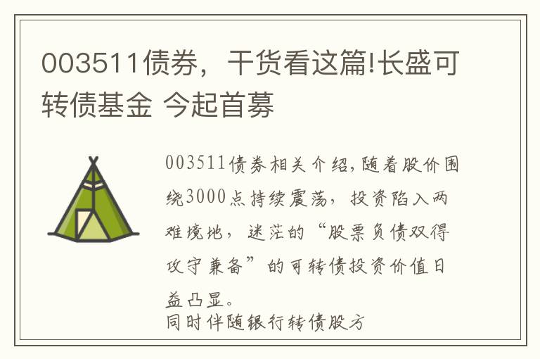 003511债券，干货看这篇!长盛可转债基金 今起首募