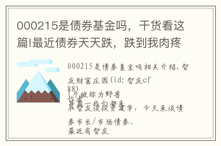 000215是债券基金吗，干货看这篇!最近债券天天跌，跌到我肉疼！债基还能买吗？