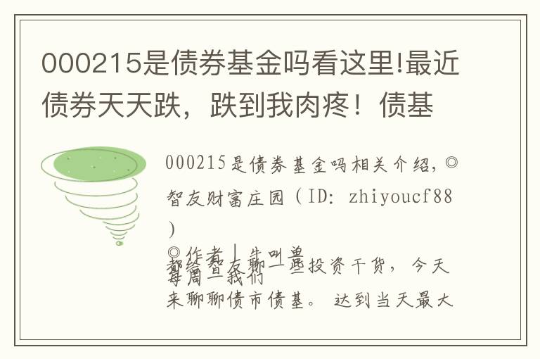 000215是债券基金吗看这里!最近债券天天跌，跌到我肉疼！债基还能买吗？