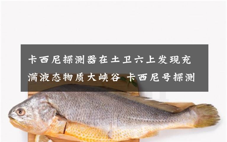 卡西尼探测器在土卫六上发现充满液态物质大峡谷 卡西尼号探测器最后一张照片