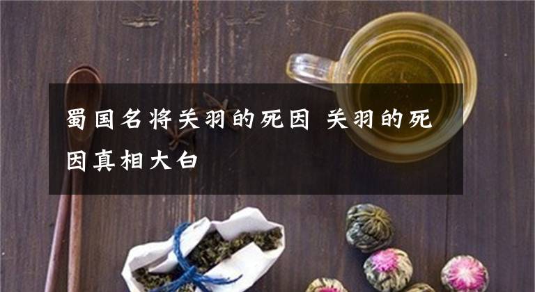 蜀国名将关羽的死因 关羽的死因真相大白