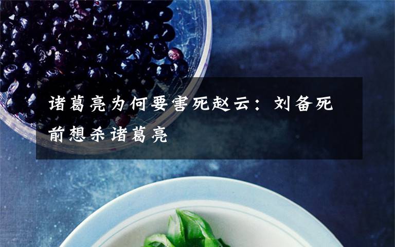 诸葛亮为何要害死赵云：刘备死前想杀诸葛亮文章配图
