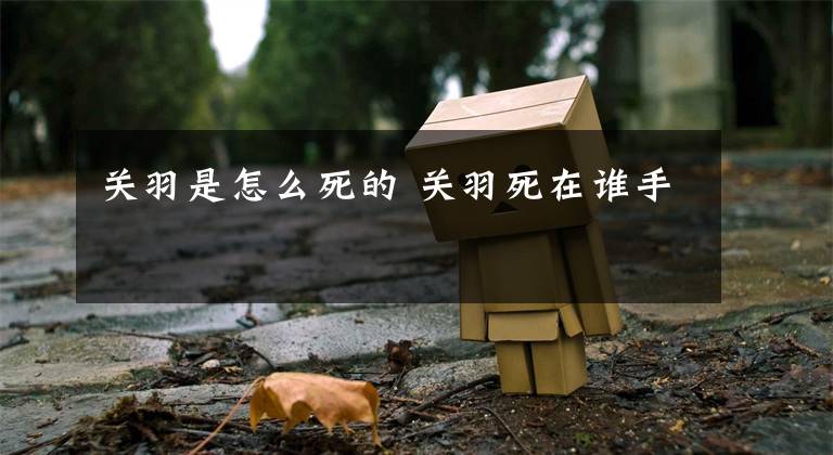 关羽是怎么死的 关羽死在谁手文章配图