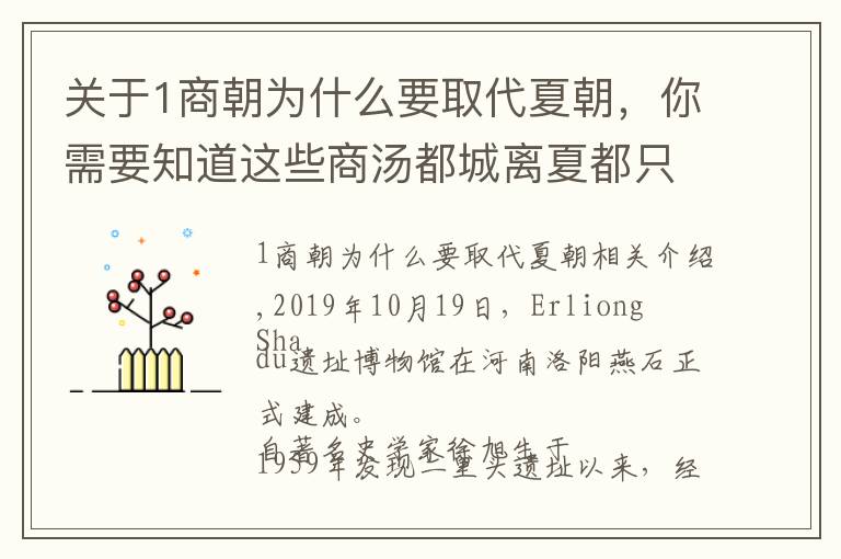 关于1商朝为什么要取代夏朝，你需要知道这些商汤都城离夏都只有6公里，夏朝为何坐以待毙？考古解密夏亡真相