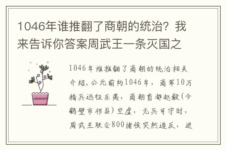 1046年谁推翻了商朝的统治？我来告诉你答案周武王一条灭国之策，灭了商朝，秦始皇没能领悟，故二世而亡！