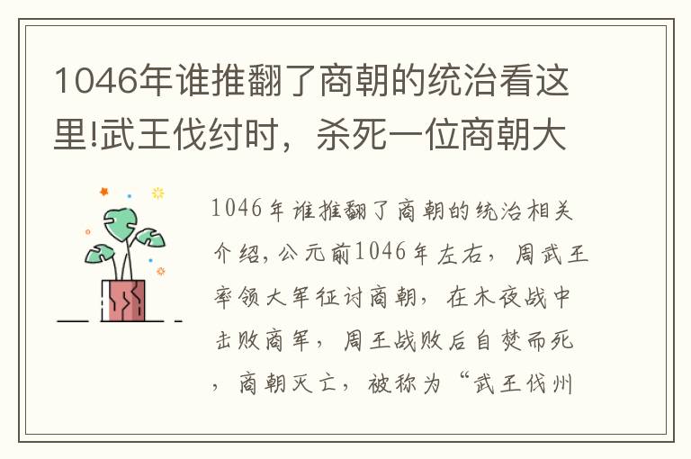 1046年谁推翻了商朝的统治看这里!武王伐纣时，杀死一位商朝大将，八百年后子孙复仇，推翻周朝