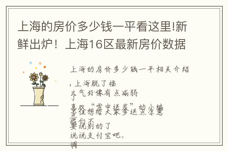 上海的房价多少钱一平看这里!新鲜出炉！上海16区最新房价数据来了！现在攒首平要攒多久？