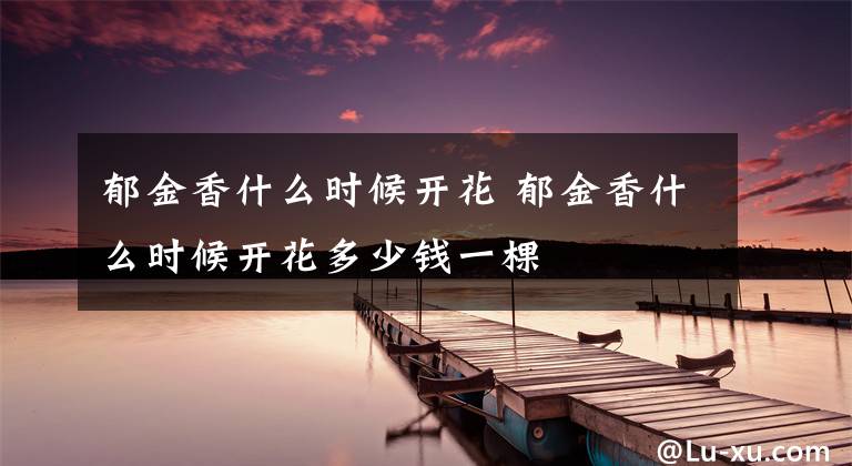 郁金香什么时候开花 郁金香什么时候开花多少钱一棵文章配图
