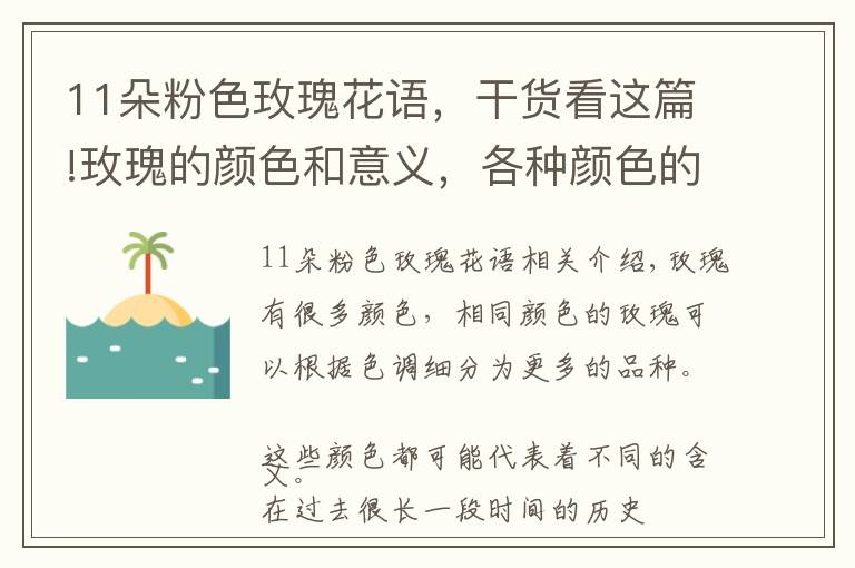 11朵粉色玫瑰花语，干货看这篇!玫瑰的颜色和意义，各种颜色的玫瑰代表什么？玫瑰花语全解读文章配图