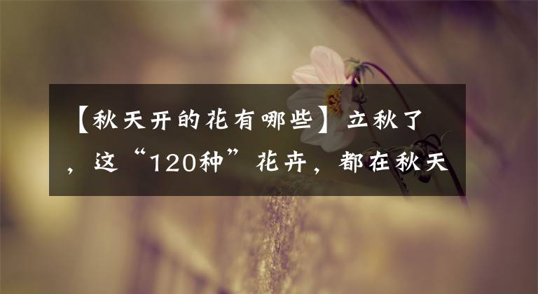 【秋天开的花有哪些】立秋了，这“120种”花卉，都在秋天开花，够养一屋子了