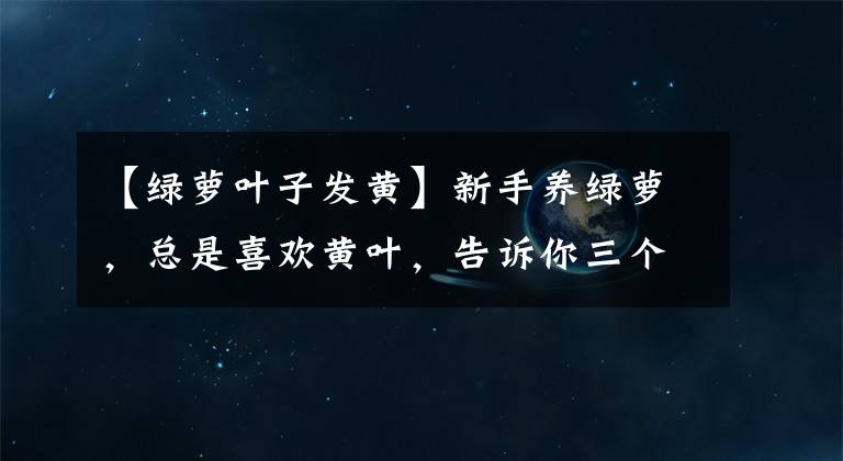 【绿萝叶子发黄】新手养绿萝，总是喜欢黄叶，告诉你三个原因和解决方法文章配图