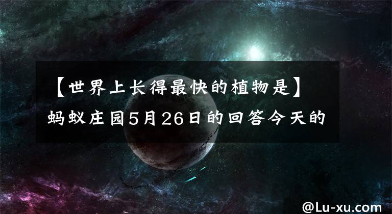 【世界上长得最快的植物是】蚂蚁庄园5月26日的回答今天的回答世界上生长最快的植物是什么？