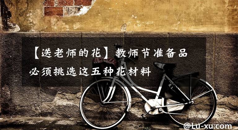 【送老师的花】教师节准备品必须挑选这五种花材料文章配图