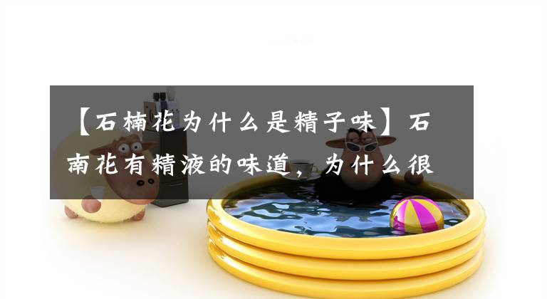 【石楠花为什么是精子味】石南花有精液的味道，为什么很多学校种石南花？文章配图