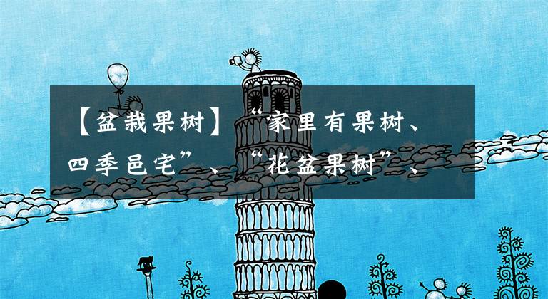 【盆栽果树】“家里有果树、四季邑宅”、“花盆果树”、“树枝满满的结果吉兆有好兆头。文章配图