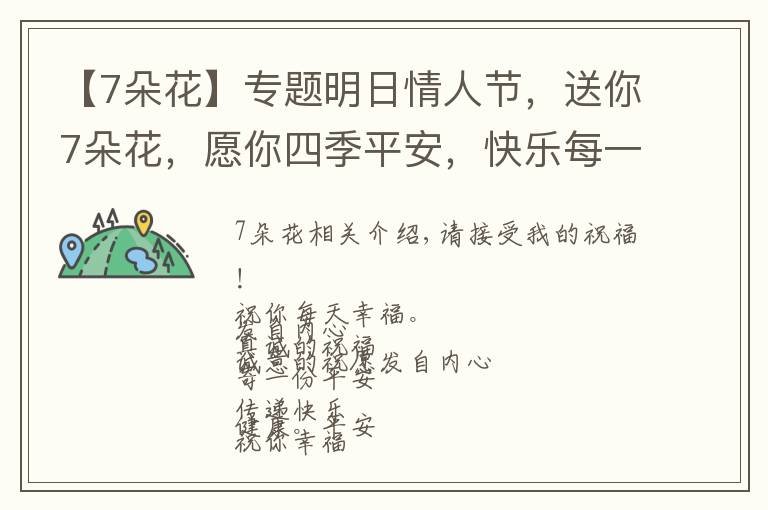 【7朵花】专题明日情人节，送你7朵花，愿你四季平安，快乐每一天文章配图