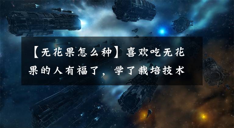 【无花果怎么种】喜欢吃无花果的人有福了，学了栽培技术，今年夏天不吃水果，所以不担心文章配图