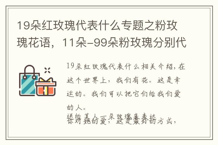 19朵红玫瑰代表什么专题之粉玫瑰花语，11朵-99朵粉玫瑰分别代表什么？文章配图
