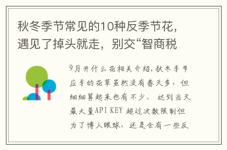 秋冬季节常见的10种反季节花，遇见了掉头就走，别交“智商税”文章配图