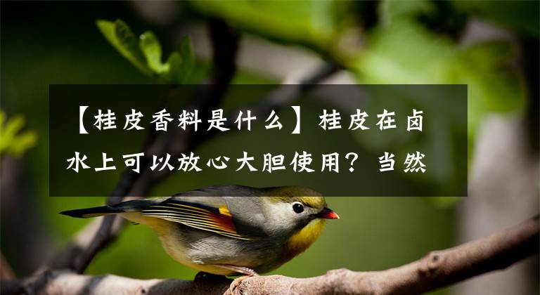 【桂皮香料是什么】桂皮在卤水上可以放心大胆使用？当然不是，还真不是都合适用它