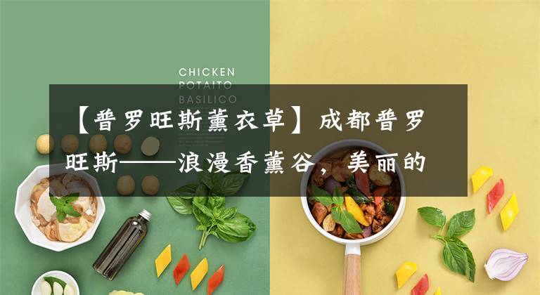 【普罗旺斯薰衣草】成都普罗旺斯——浪漫香薰谷，美丽的紫色花海文章配图