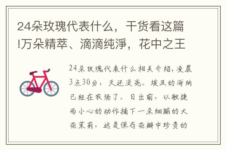 24朵玫瑰代表什么，干货看这篇!万朵精萃、滴滴纯淨，花中之王与后香伴，“非你茉属”的珍贵呵护文章配图