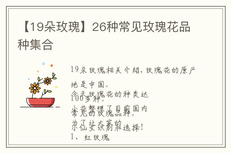【19朵玫瑰】26种常见玫瑰花品种集合文章配图