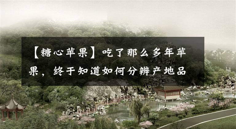 【糖心苹果】吃了那么多年苹果，终于知道如何分辨产地品种，买苹果不再被忽悠