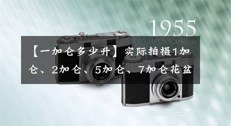 【一加仑多少升】实际拍摄1加仑、2加仑、5加仑、7加仑花盆的尺寸比较