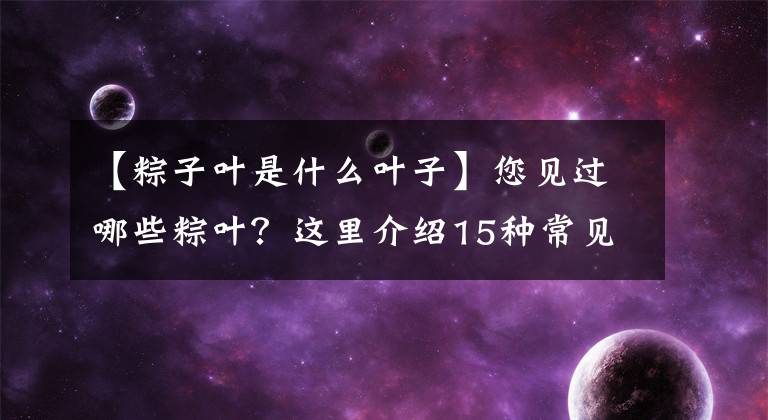 【粽子叶是什么叶子】您见过哪些粽叶？这里介绍15种常见可用于包粽的叶子