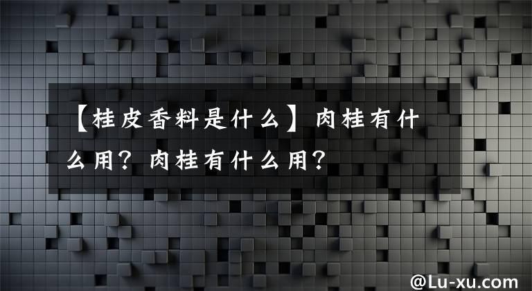 【桂皮香料是什么】肉桂有什么用？肉桂有什么用？