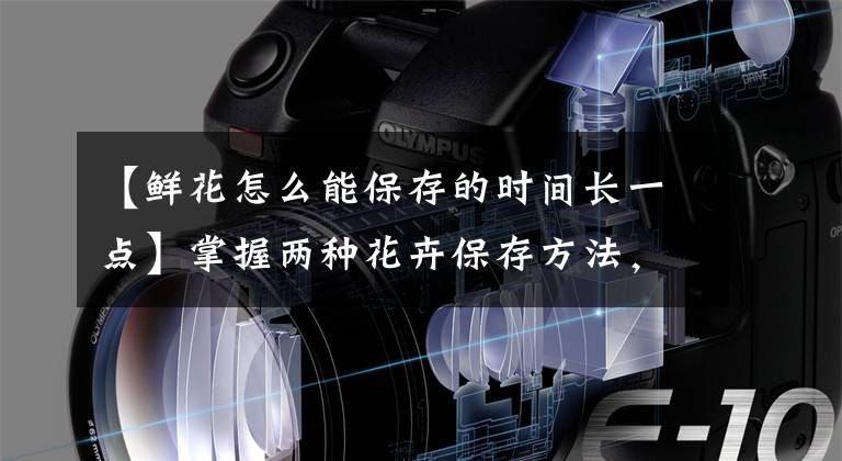 【鲜花怎么能保存的时间长一点】掌握两种花卉保存方法，摘花也能保存几周文章配图