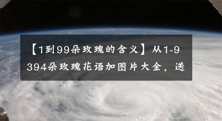 【1到99朵玫瑰的含义】从1-9394朵玫瑰花语加图片大全，送花，原来这么多讲究！