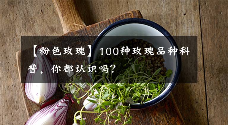 【粉色玫瑰】100种玫瑰品种科普，你都认识吗？