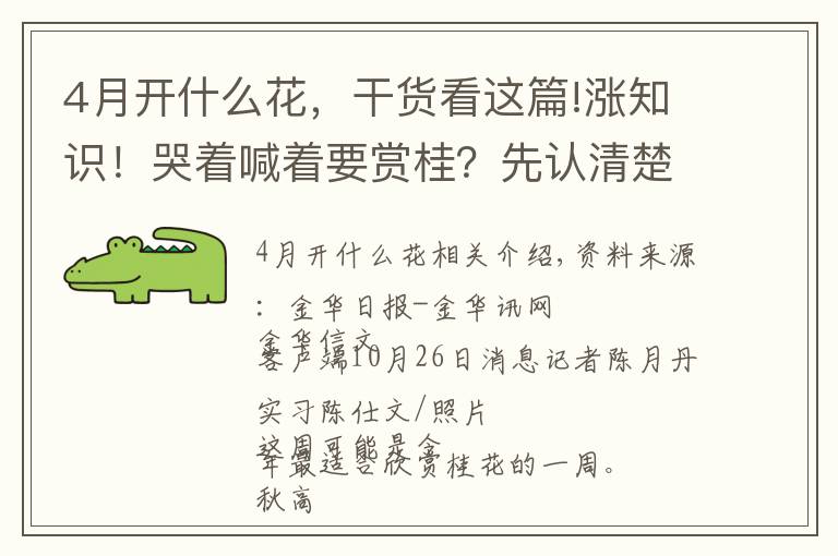 4月开什么花，干货看这篇!涨知识！哭着喊着要赏桂？先认清楚谁是谁先文章配图