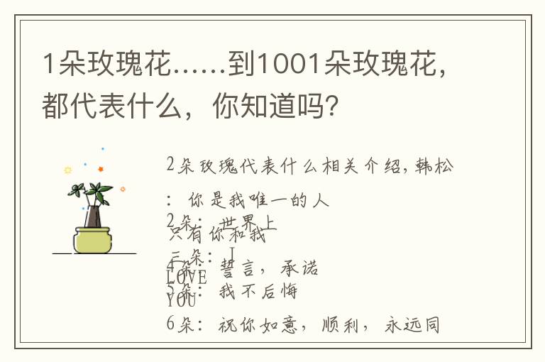 1朵玫瑰花……到1001朵玫瑰花，都代表什么，你知道吗？