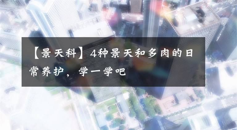 【景天科】4种景天和多肉的日常养护，学一学吧文章配图