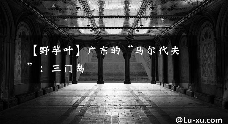 【野芋叶】广东的“马尔代夫”：三门岛