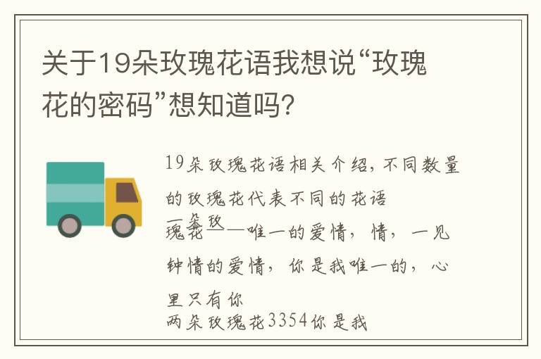 关于19朵玫瑰花语我想说“玫瑰花的密码”想知道吗？文章配图