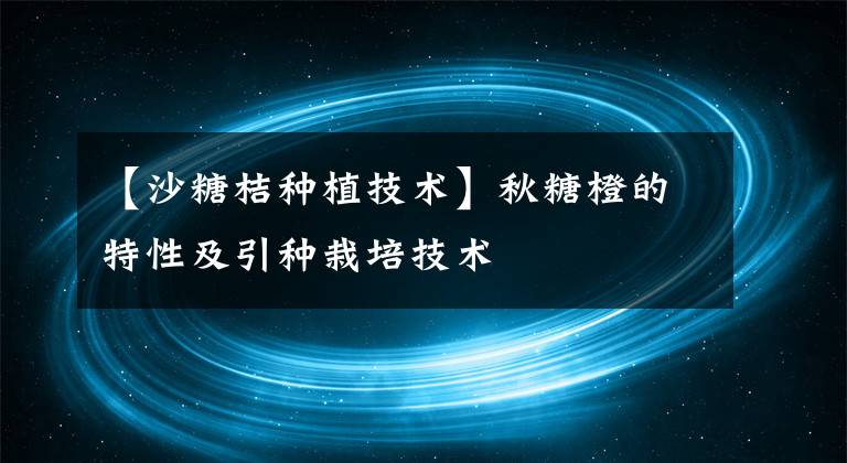 【沙糖桔种植技术】秋糖橙的特性及引种栽培技术