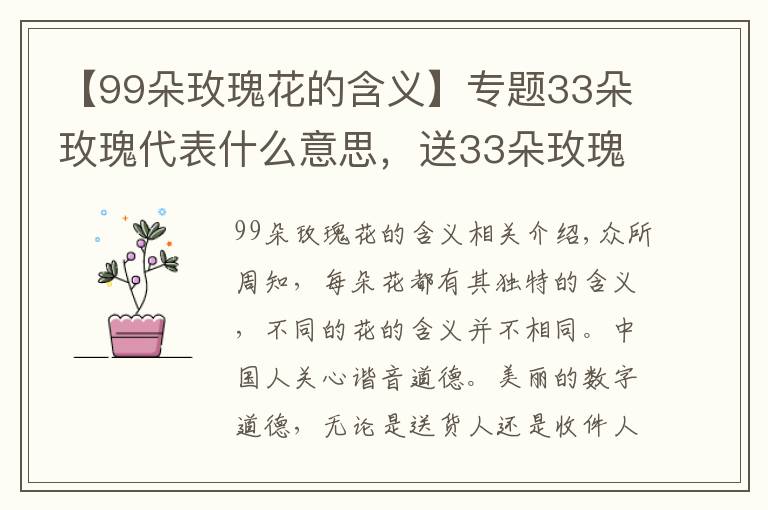 【99朵玫瑰花的含义】专题33朵玫瑰代表什么意思，送33朵玫瑰代表什么（生生世世的爱）