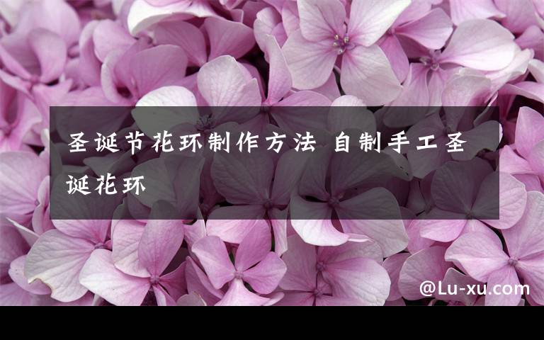圣诞节花环制作方法 自制手工圣诞花环