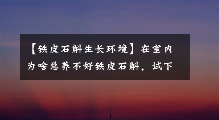 【铁皮石斛生长环境】在室内为啥总养不好铁皮石斛，试下这几种方法，保准不断长叶