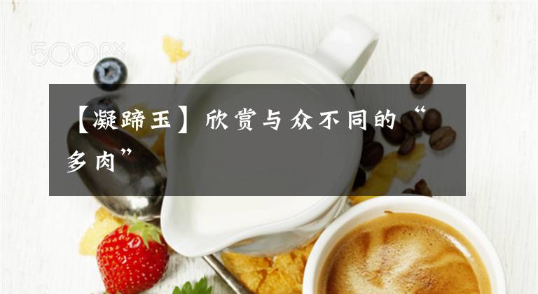 【凝蹄玉】欣赏与众不同的“多肉”文章配图