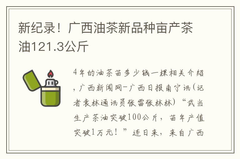 新纪录！广西油茶新品种亩产茶油121.3公斤