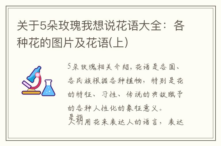 关于5朵玫瑰我想说花语大全：各种花的图片及花语(上）文章配图