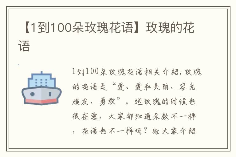 【1到100朵玫瑰花语】玫瑰的花语